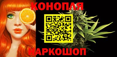 гашик Бузулук