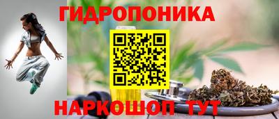 гашик Бузулук